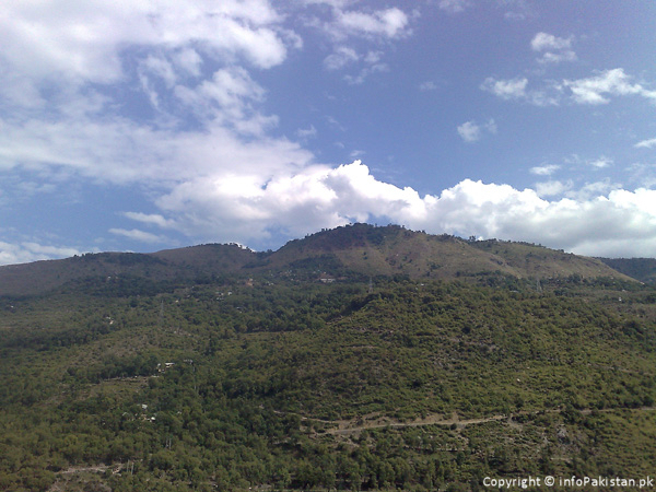 Greenery, mountains and Sky