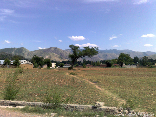 Beautiful tree in middle of blue sky, mountains and land