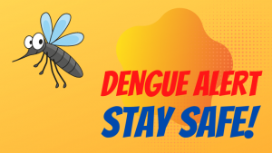 Dengue Alert Stay Safe